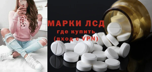 хмурый Зеленокумск