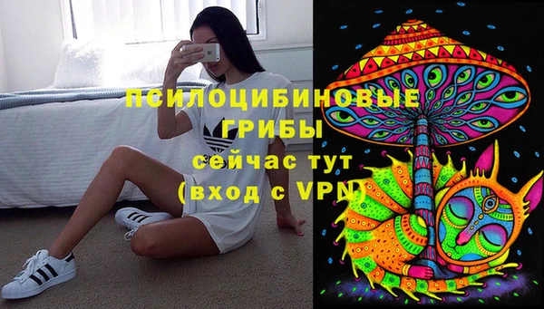 трава Зерноград