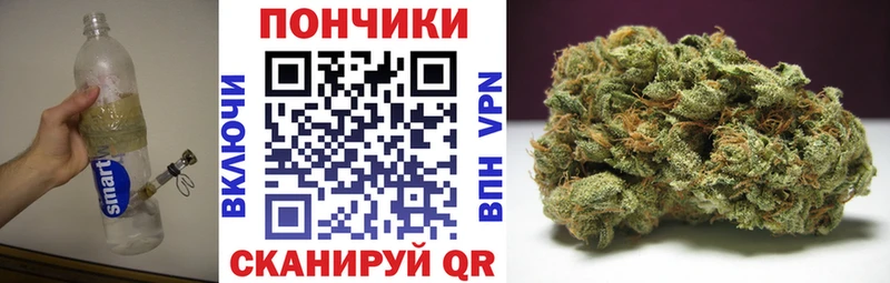 цена наркотик  Талдом  hydra   Шишки марихуана SATIVA & INDICA 